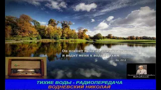 Тихие воды 075   Радиопередача Николая Водневского   Свидетельство