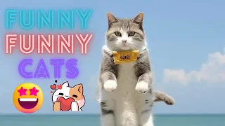 You Won't Believe How Funny These Cats Are!😂New Funny Cats and Dogs Videos 😹🐶 Funniest Cats 😸Part 29