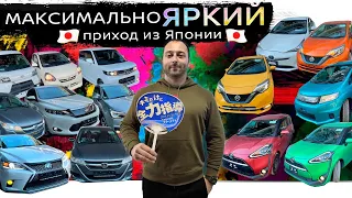 Продолжаем СКУПАТЬ ВСЕ АВТО ИЗ ЯПОНИИ❗LEXUS CT200H❗HIJET ❗ZEST SPARK❗HARRIER ❗NOTE 4WD❗PAJERO❗