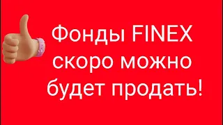 FINEX осенью разморозятся! // Наталья Смирнова