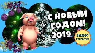 Скоро НОВЫЙ ГОД 2019 год Свиньи. С НОВЫМ ГОДОМ! Свинья Анимированный футаж для видео монтажа 22.