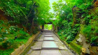 Kyoto Walk - Kodaiji Temple (高台寺) - 4K