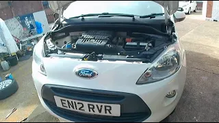 Ford KA 1.2 Petrol, Water pump & Timing Belt Kit Replacement/ Replaced, Worn Timing Belt, Fiat 500.