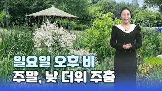 주말 낮 더위 주춤… 푸른 서울창포원 산책 어때요?