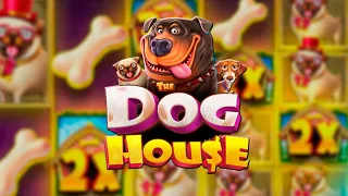 МОЯ САМАЯ ДОЛГАЯ СЕССИЯ В DOG HOUSE (КОРОТКАЯ ВЕРСИЯ)🔥