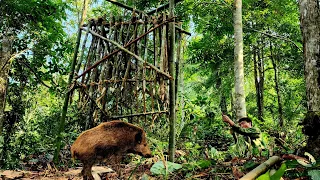SURVIVAL ALONE, Wild boar hunting skills, boar traps with trees, survival instincts