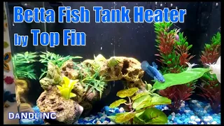 Betta Fish Tank Heater (up to 5 Gallons) by Top Fin (HT-10)