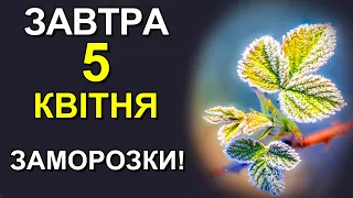 ПОГОДА НА ЗАВТРА: 5 КВІТНЯ 2024 | Точна погода на день в Україні