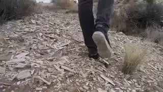 Petrified wood mounds in northeast Arizona