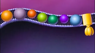 Electron Transport Chain (HD Animation)