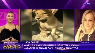 Survivor Nagihan, Aslan Yavrusunun Saldırısına Uğradı   Nagihan Karadere'nin panik anları