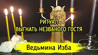 ВЫГНАТЬ НЕЗВАНОГО ГОСТЯ. ВЕДЬМИНА ИЗБА ▶️ ИНГА ХОСРОЕВА