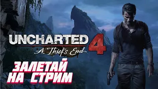 Вечерний стрим / Начинаем прохождение Uncharted 4: A Thief’s End / #1