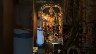 Venkateswara Suprabhatam 🚩Venkata Ramana Govinda 🚩 Tirupati Balaji 🙏