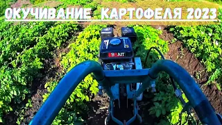 Окучивание КАРТОШКИ Мотокультиватором КРОТ по высокой Ботве! Огород в ДЕРЕВНЕ 2023!