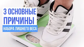 3 основные причины набора лишнего веса. Почему еда - наркотик? ЧТО МЕШАЕТ ПОХУДЕТЬ?