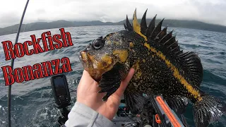 Neah Bay, WA Multispecies Kayak Fishing