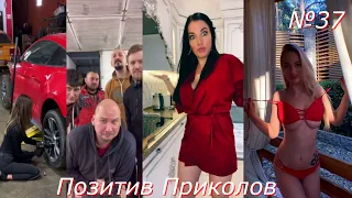 Смотреть всем!!! №37.  Подборка приколов 2020 года. Чудики из соцсетей.Приколы с животными.