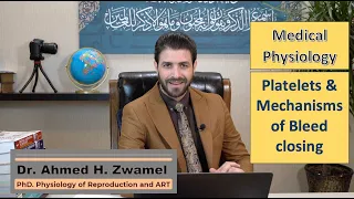 Medical Physiology| Platelets and mechanisms of bleed stoping| الصفائح الدموية واليات ايقاف النزف