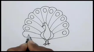 How to draw peacock drawing easy step by step #peacock #drawing #art