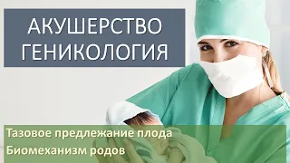 Биомеханизм родов при тазовых предлежаниях