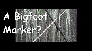 Bigfooter Gary Ep. 62 - Dark Fall Is Here