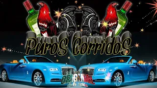 Puros corridos macizos 💥💥lo más perron✴️✴️