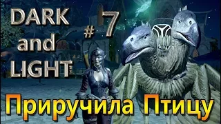 Dark and Light - (07) - Приручила птицу