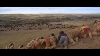 View of the Buffalo Field (Director's Cut)