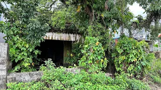 What Will the $5,000 Abandoned House We Clean and Renovate Look Like? Cleaning the Floor and GRASS