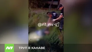 ТРУП В КАНАВЕ