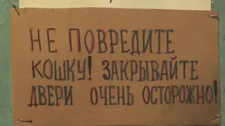 Меня не было дома.  Проникли кто-то, и вот что сталось.  13. 09. 2019