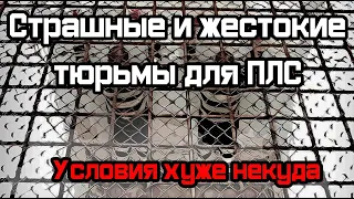Самые страшные и жестокие тюрьмы в России! В них сидят пожизненники и им никогда не выйти оттуда!