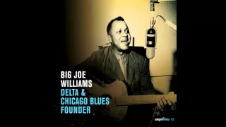 Big Joe Williams - Please Don't Go