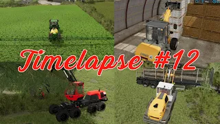 🇫🇷 The Valley The old Farm #12 - Spraying herbicid, cutting woods, store furniture & planks