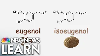 The Chemical Bond Between Cloves and Nutmeg
