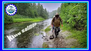 What it's REALLY Like Fishing in Alaska (Without a Guide)