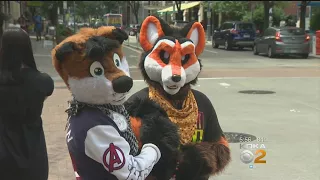Furries Converge On Pittsburgh For Annual Anthrocon