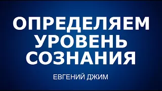 4 Касты и Точка Сборки / Определяем уровень Сознания [Вебинар] Евгений Джим - Чакры ТВ