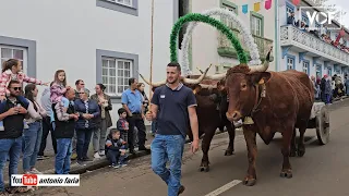 Bodo leite, Santo Antão 2024 Ilha São Jorge Açores