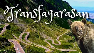 Romania's most beautiful road: Transfăgărășan,  WE SAW BEARS!