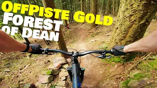 Riding old classics and exploring new off piste trails! | Forest of Dean Mountain Biking