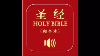 和合本圣经 • 以西结书 | Chinese Union Version Bible • Ezekiel