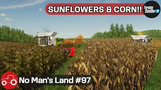 Harvesting Sunflowers & Corn, Spreading Slurry & Spraying Weeds - No Man's Land #97 FS22 Timelapse