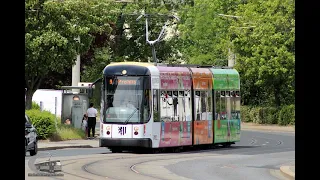 Straßenbahnen Dresden - Impressionen Juni 2020