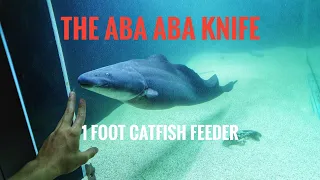 The Aba Aba Knifefish - LIVE CATFISH FEEDER (1 FOOT)