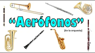 AERÓFONOS: Familia de instrumentos de aire /viento