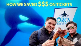 Top things to do at SEAWORLD SAN DIEGO (how we saved $$$ on tickets below, free active duty)