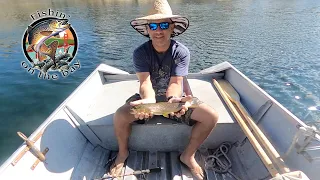 High Sierra Brown trout adventures! July 13-15th 2022 on the South Fork of the San Joaquin River