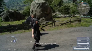 ...Really Ignis?